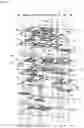 Fig. 04 - Multilayer triplexer