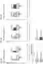 Fig. 06 - User terminal and radio communication method