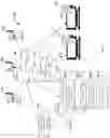 Fig. 04 - Configuring hostname based firewall policies