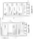 Fig. 07 - Device designation of playback and network microphone device arrangements