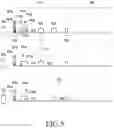 Fig. 06 - Electronic device for performing ranging operation and operation method thereof