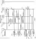 Fig. 04 - Systems and methods for a scalable heterogeneous network orchestrator