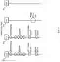 Fig. 05 - Systems and methods for a scalable heterogeneous network orchestrator