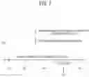 Fig. 08 - ELECTRONIC APPARATUS AND METHOD FOR CONTROLLING THE SAME