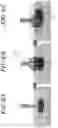 Fig. 07 - SYSTEMS AND METHODS FOR PROCESSING AND TRANSMITTING SENSOR DATA