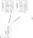 Fig. 02 - Communication apparatus and communication method