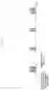Fig. 24 - Method and device for controlling transmission power of user equipment in beamforming system