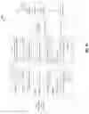Fig. 11 - Signaling TA-offset in NR