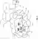 Fig. 12 - Signaling TA-offset in NR