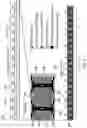 Fig. 04 - Communications device and methods