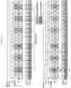Fig. 05 - Method and apparatus for 5G migration in frequency interference combination band