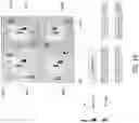 Fig. 22 - Systems and methods for fractional carrier sense multiple access with collision avoidance (CSMA/CA) for WLANS