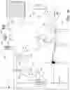 Fig. 03 - Lamp synchronization after excessive user interaction