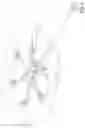 Fig. 05 - Tree trimming with drone