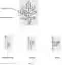 Fig. 02 - Wild rocket variety 89-600 RZ