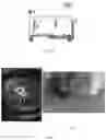 Fig. 05 - METHOD FOR CULTIVATING PARALARVAE OF THE COMMON OCTOPUS, OCTOPUS VULGARIS