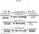 Fig. 03 - ENDONUCLEASE SEXING AND STERILIZATION IN INSECTS