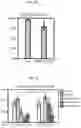 Fig. 13 - ENDONUCLEASE SEXING AND STERILIZATION IN INSECTS