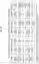 Fig. 14 - ENDONUCLEASE SEXING AND STERILIZATION IN INSECTS