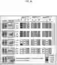 Fig. 23 - ENDONUCLEASE SEXING AND STERILIZATION IN INSECTS