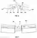 Fig. 05 - Diagnostic interactive applied shoe for horses