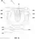 Fig. 08 - Diagnostic interactive applied shoe for horses