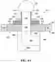 Fig. 12 - Apparatus for perfusion of an excised organ