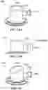 Fig. 33 - Apparatus for perfusion of an excised organ
