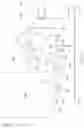 Fig. 04 - FOAM FORMULATIONS AND APPARATUS FOR DELIVERY
