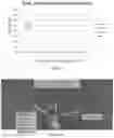 Fig. 11 - LIPOSOMAL FORMULATIONS AND METHODS OF USING SAME IN AGRICULTURE