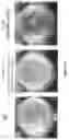 Fig. 10 - BIOCONTROL ENHANCERS