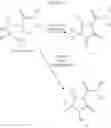 Fig. 23 - Pyrrolidinones herbicides