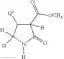 Fig. 38 - Pyrrolidinones herbicides