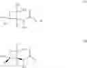 Fig. 04 - Methods of controlling or preventing infestation of vegetable, tomato and potato plants by phytopathogenic microorganisms