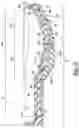 Fig. 16 - Footwear plate