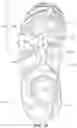 Fig. 27 - Article of footwear with adaptive fit