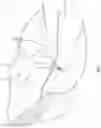 Fig. 13 - Article of footwear with reconfigurable fastening system