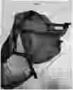 Fig. 04 - Child carrier pack