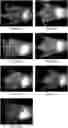 Fig. 01 - Semiconductor SWCNT slurry for bioimaging and method for producing the same