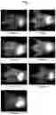 Fig. 02 - Semiconductor SWCNT slurry for bioimaging and method for producing the same