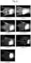 Fig. 03 - Semiconductor SWCNT slurry for bioimaging and method for producing the same