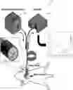 Fig. 01 - METHOD AND SYSTEM FOR IN VIVO DETECTION OF ADIPOSE TISSUE BROWNING
