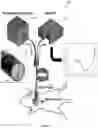 Fig. 06 - METHOD AND SYSTEM FOR IN VIVO DETECTION OF ADIPOSE TISSUE BROWNING