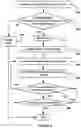 Fig. 06 - Diabetes Control Using Postprandial Feedback