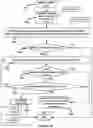 Fig. 11 - Diabetes Control Using Postprandial Feedback
