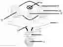Fig. 01 - System of triple abutments with TConnect