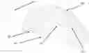 Fig. 01 - Digitizing and merging sectional impression trays to create a dental arch for dental device manufacturing