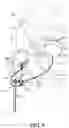 Fig. 08 - Snowsport equipment positional stabilization