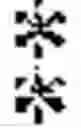 Fig. 02 - T-cell modulatory multimeric polypeptide with conjugation sites and methods of use thereof