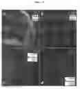 Fig. 05 - Method for producing adenohypophysis or precursor tissue thereof